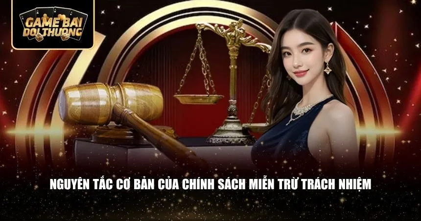 Nguyên tắc cơ bản của chính sách miễn trừ trách nhiệm